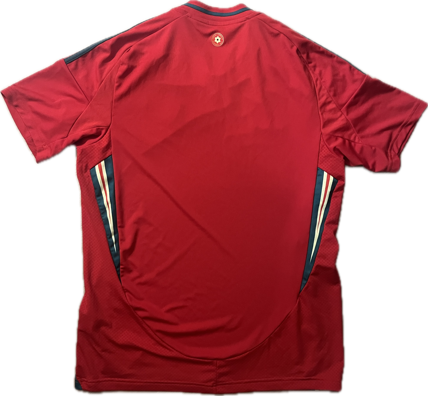 Wales 2024/25 Home Shirt - (M) - 10/10
