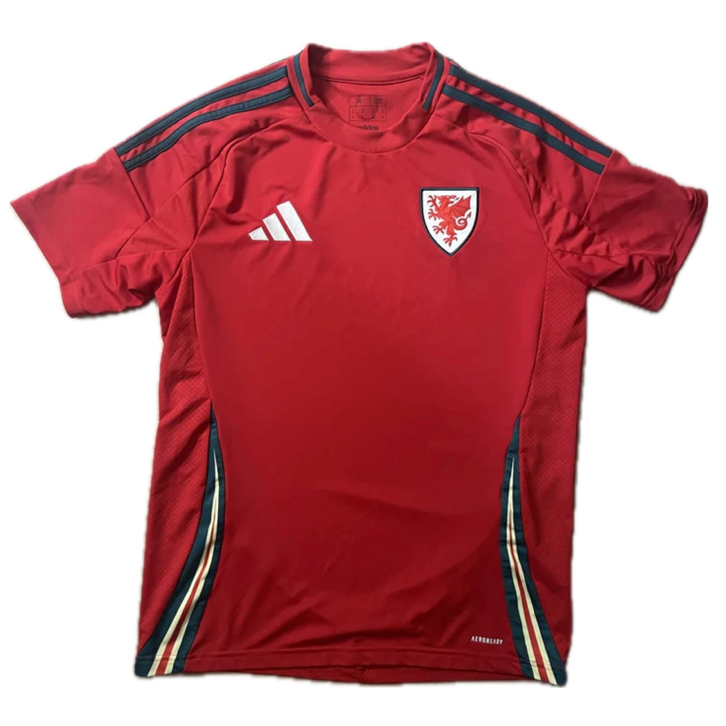 Wales 2024/25 Home Shirt - (M) - 10/10