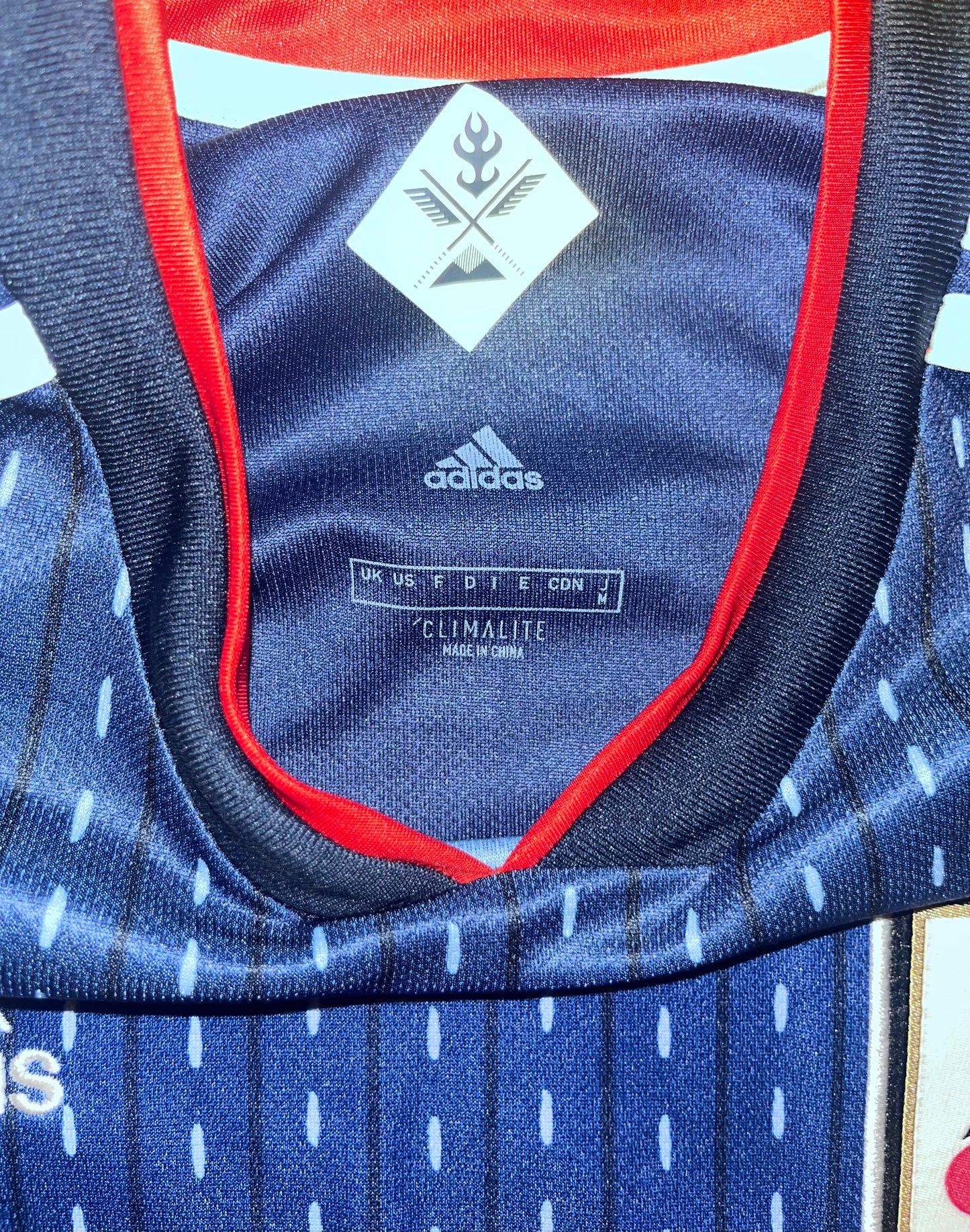 Japan 2018/19 Home Shirt - (S) - 9/10