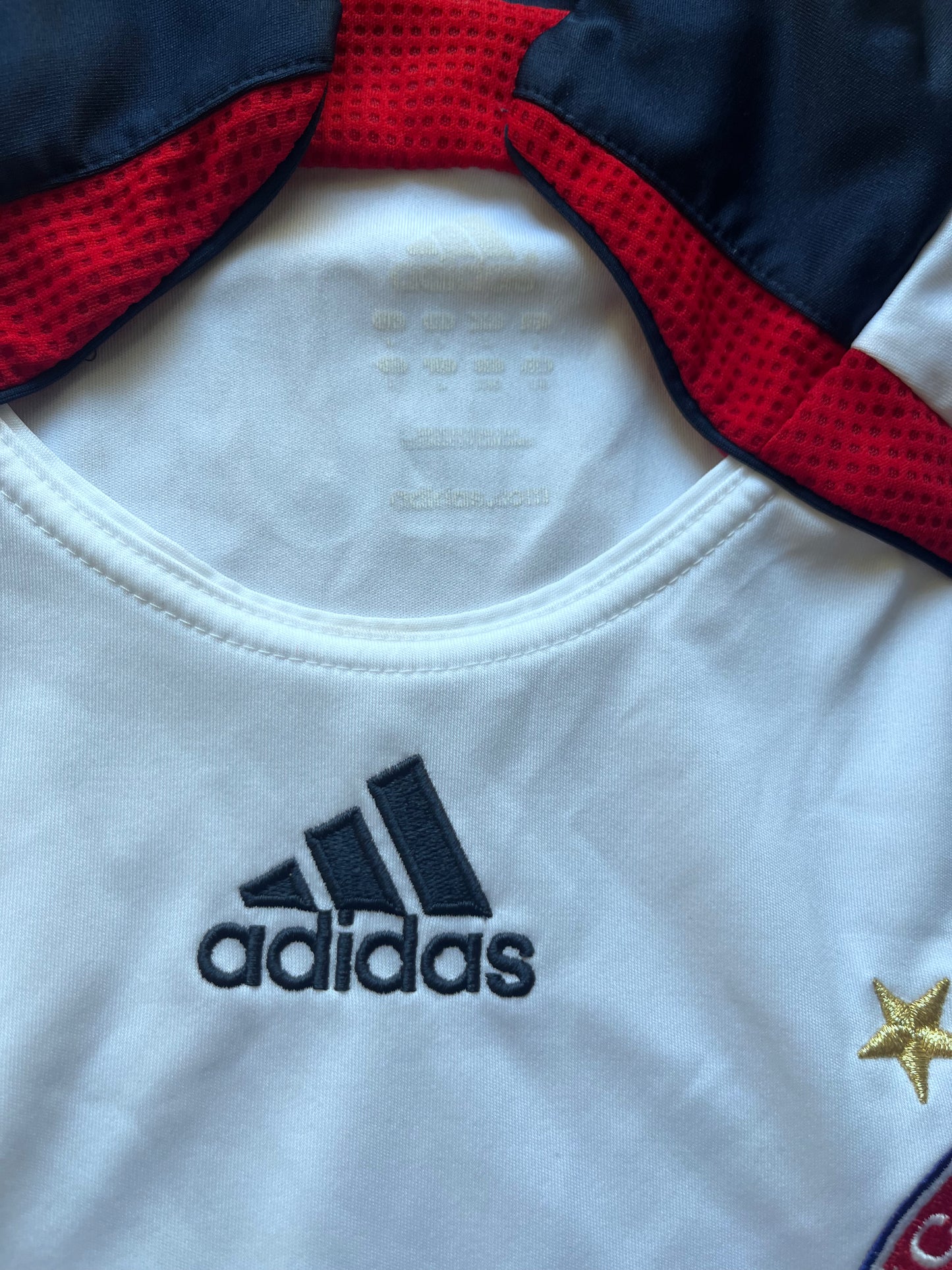 Bayern München 2006/07 Borttaröja - (L) - 8/10