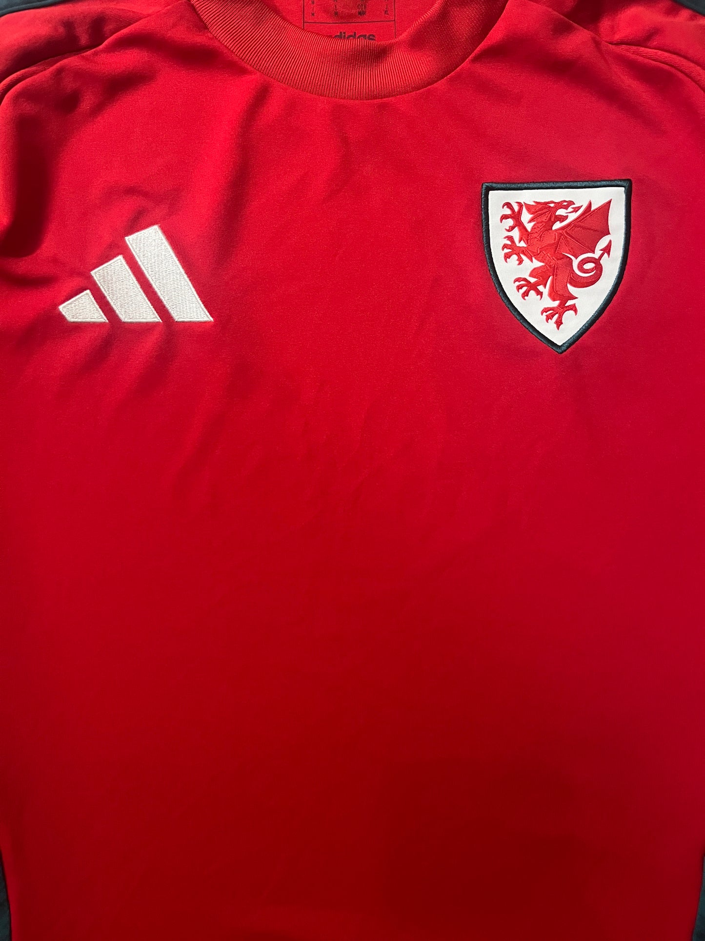 Wales 2024/25 Home Shirt - (M) - 10/10