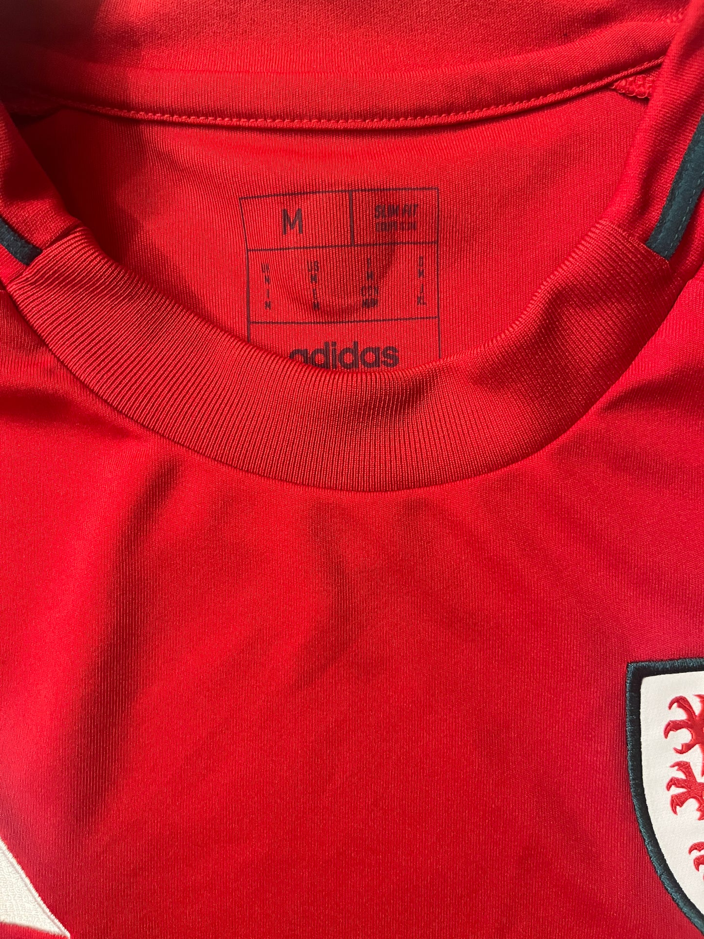 Wales 2024/25 Home Shirt - (M) - 10/10