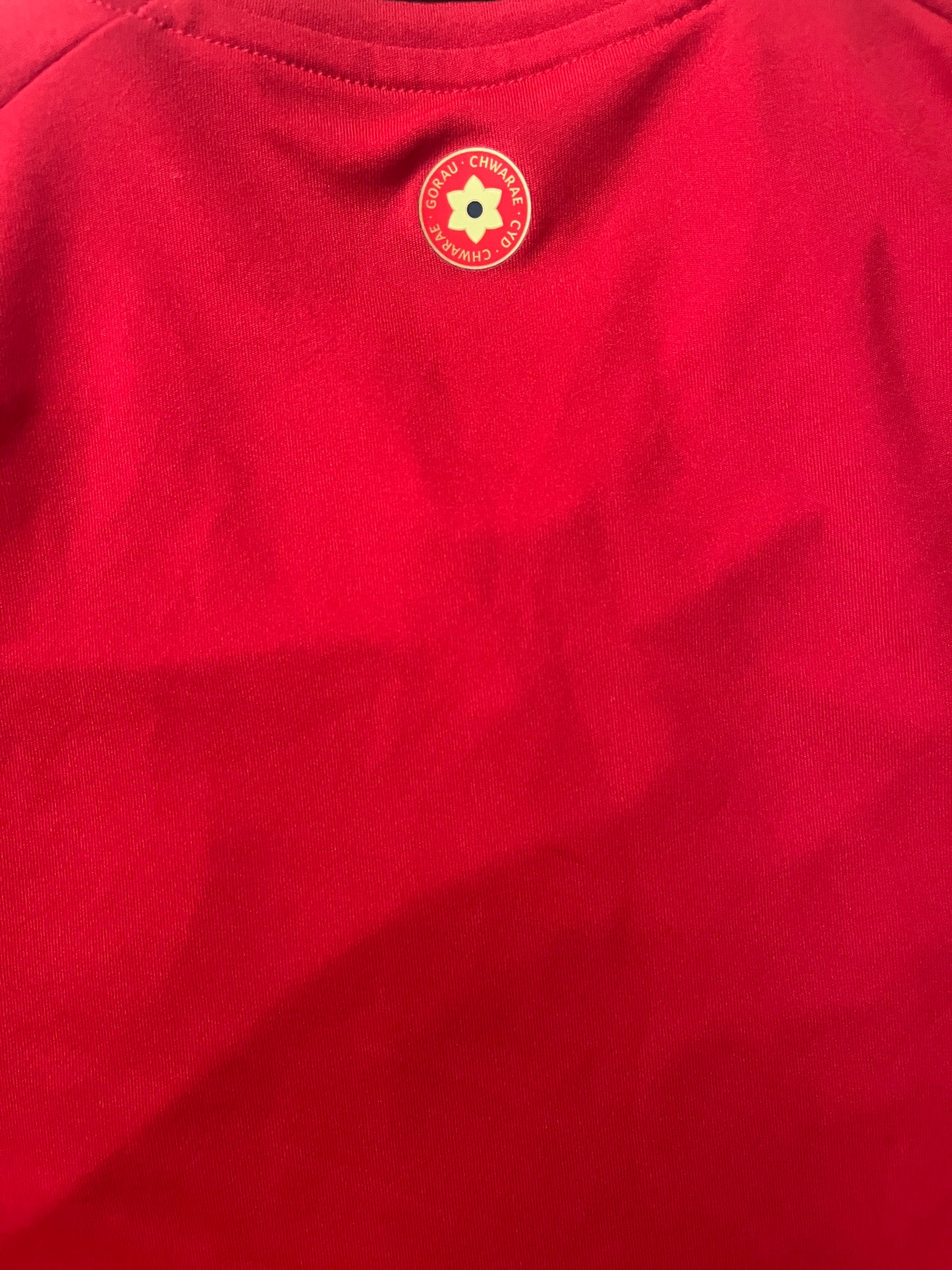 Wales 2024/25 Home Shirt - (M) - 10/10