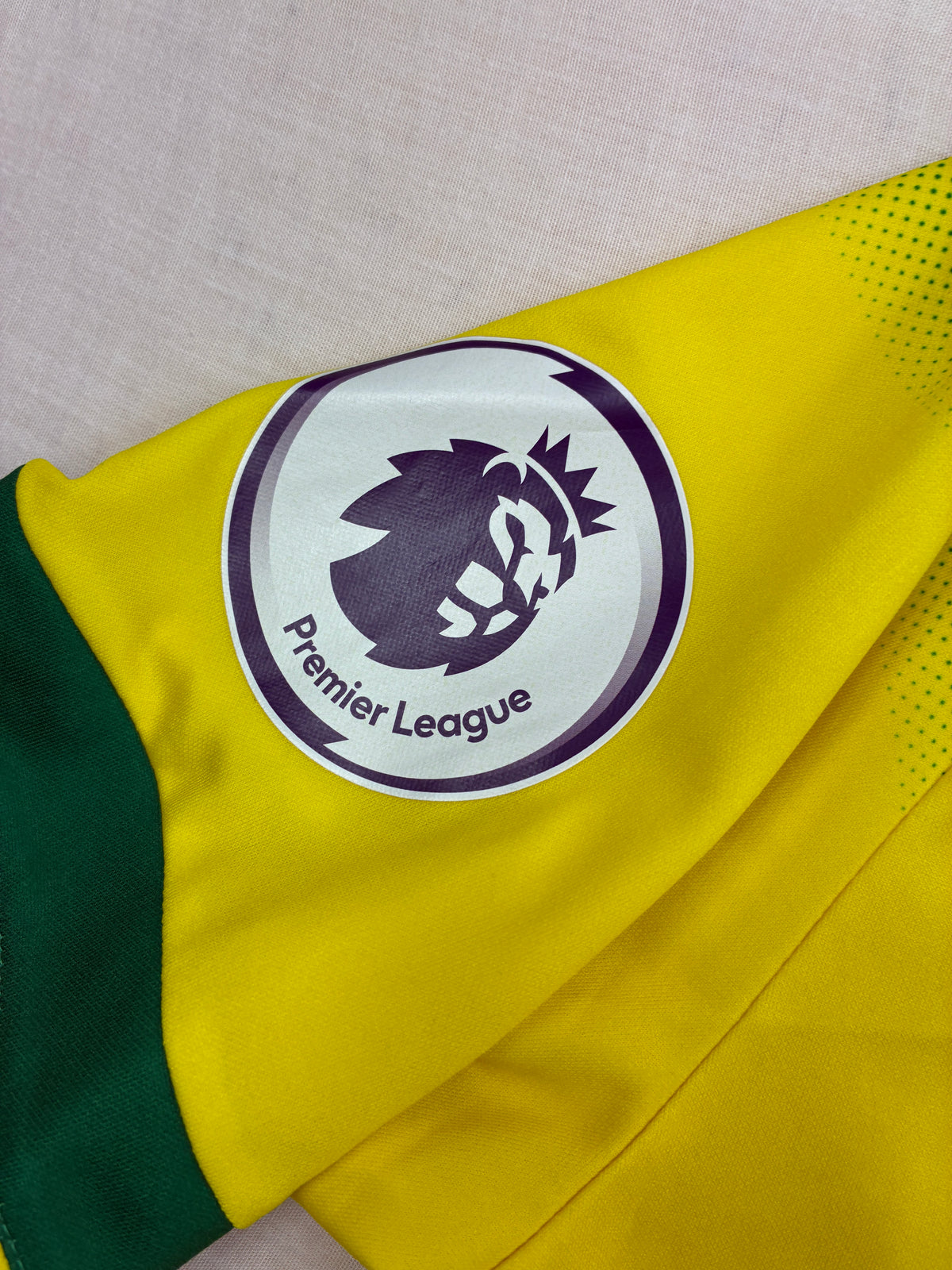Norwich City 2019/20 Kotipaita - #22 Pukki - (S) - 9/10