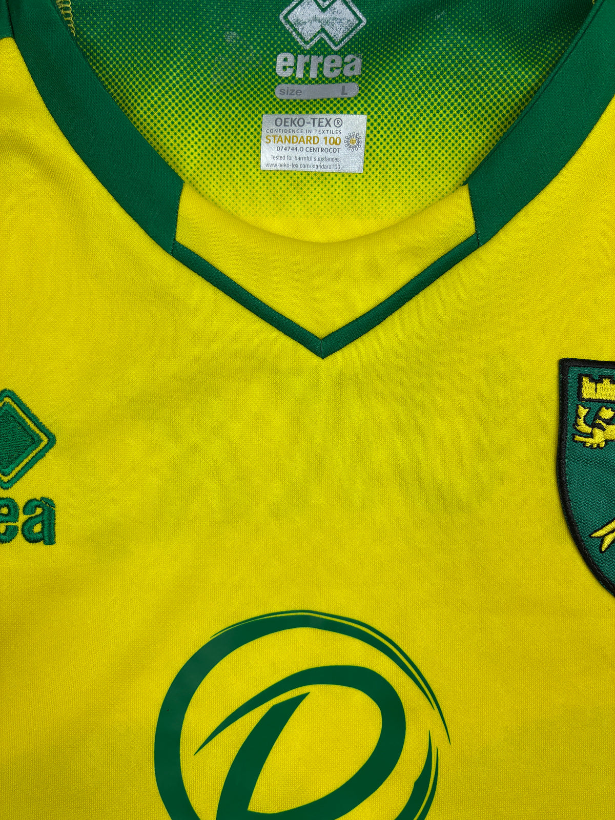 Norwich 2019/20 Kotipaita - #22 Pukki - (L) - 10/10