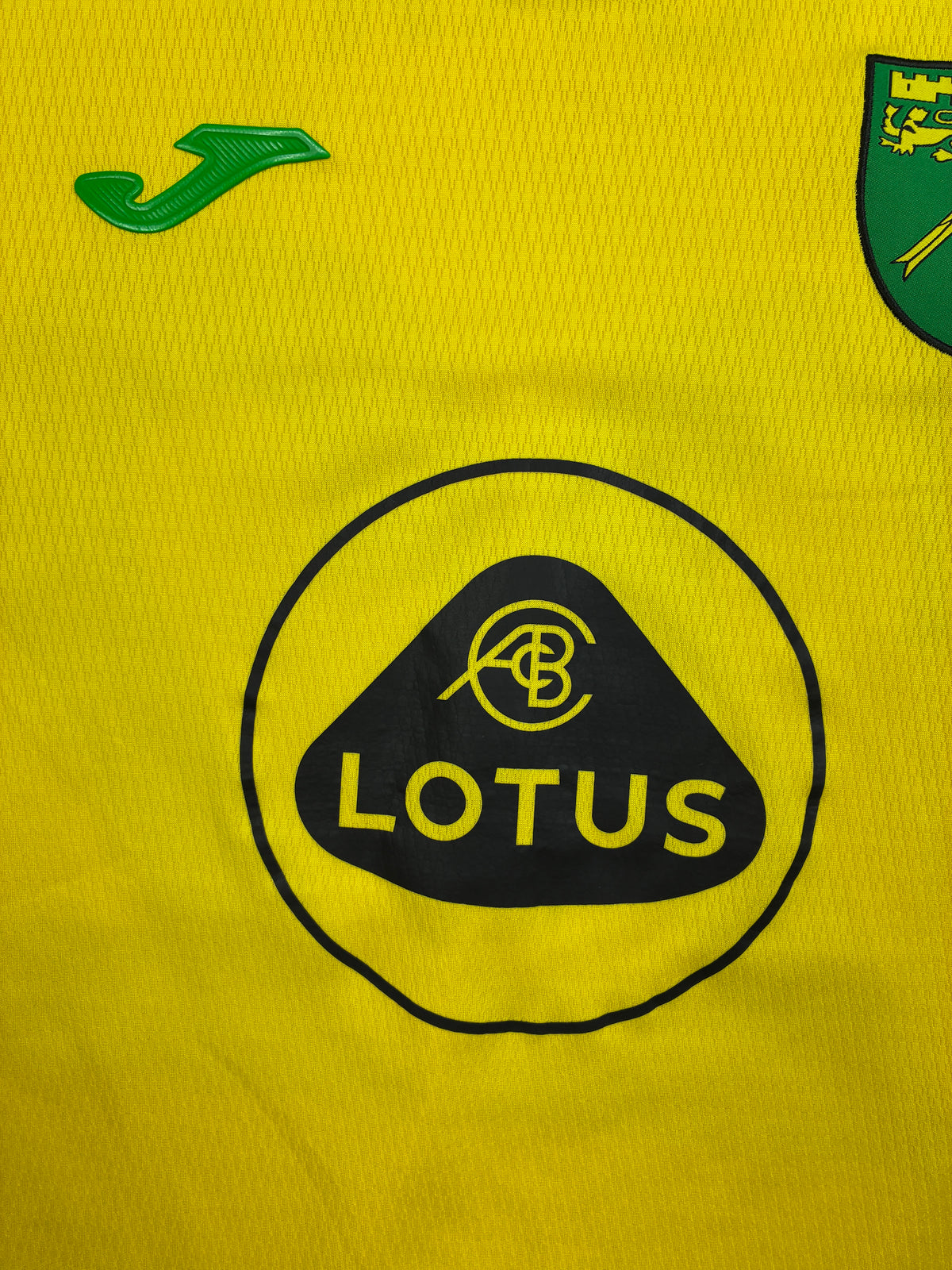 Norwich 2021/22 Kotipaita - #22 Pukki - (L) - 10/10