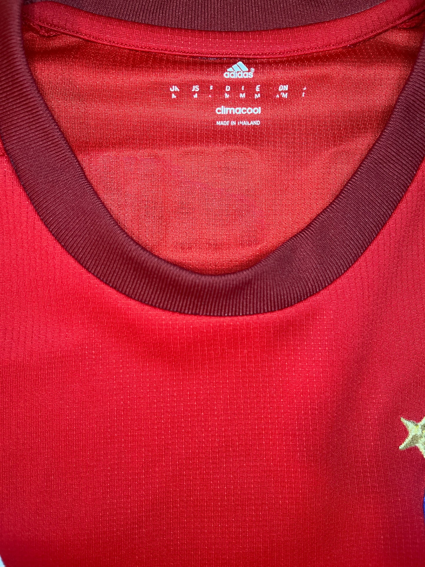 Bayern Munchen 2015/16 Kotipaita - #31 Schweinsteiger - (M) - 8/10