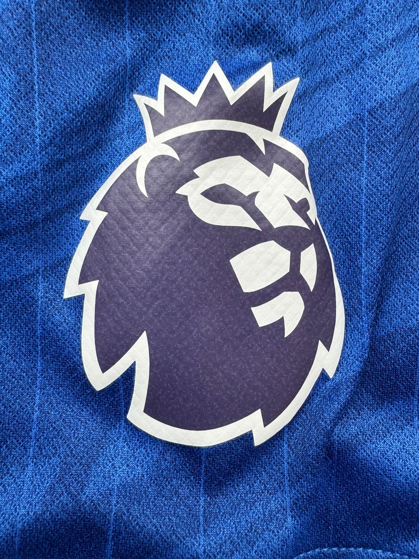 Chelsea 2025/26 Kotipaita - #10 Palmer - (L) - 10/10