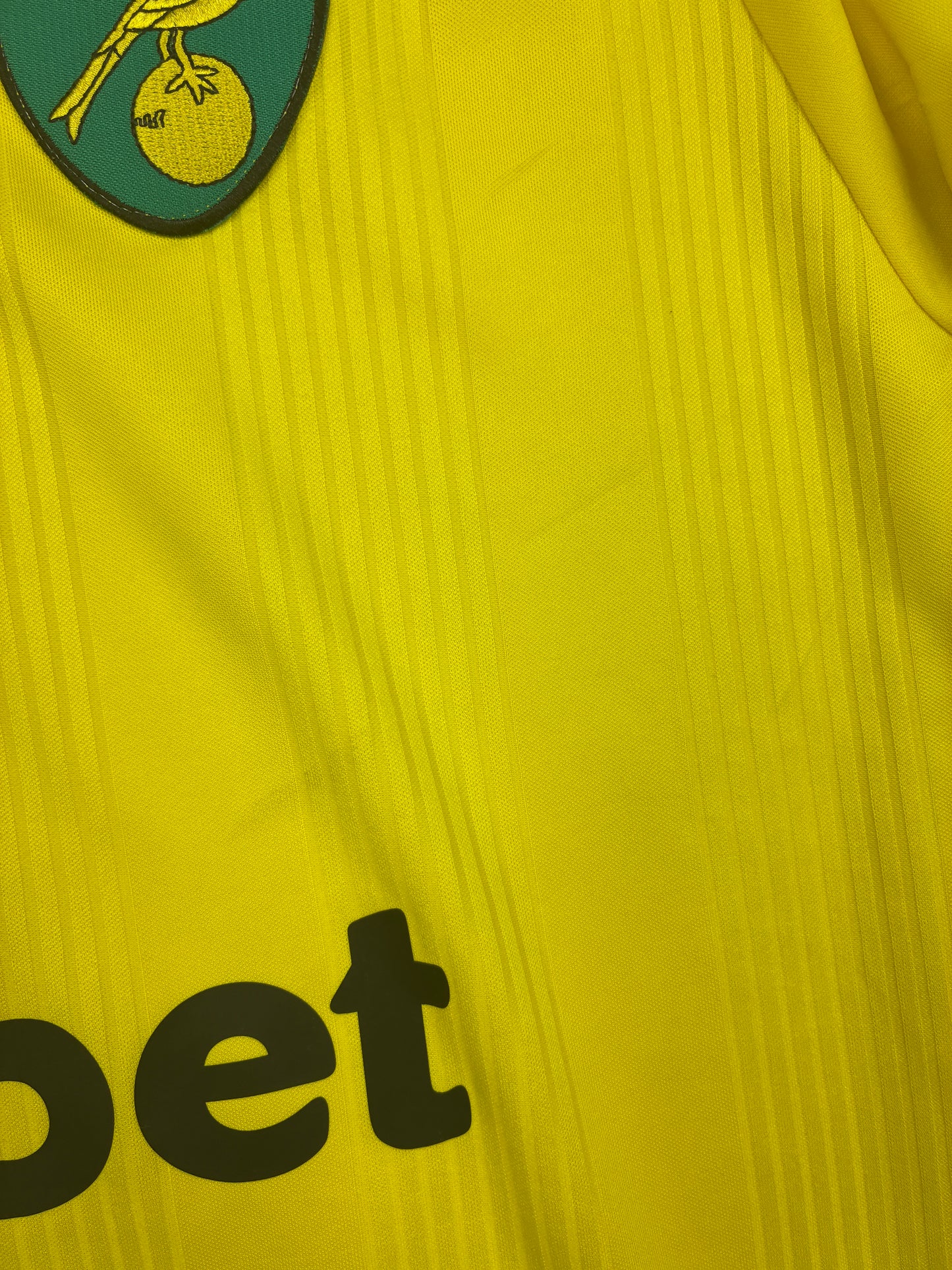 Norwich FC 2020/21 Kotipaita - #22 Pukki - (L) - 9/10