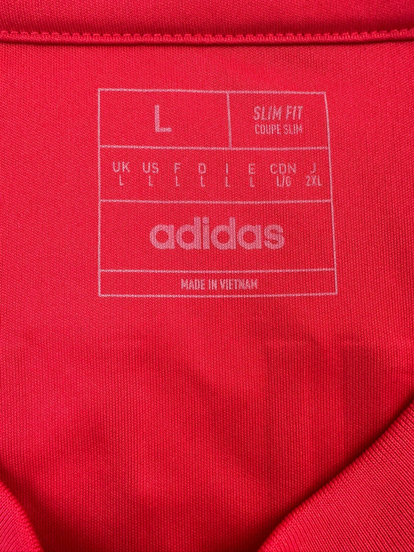 Manchester United 2024/25 Kotipaita - #9 Hojlund - (L) - 10/10