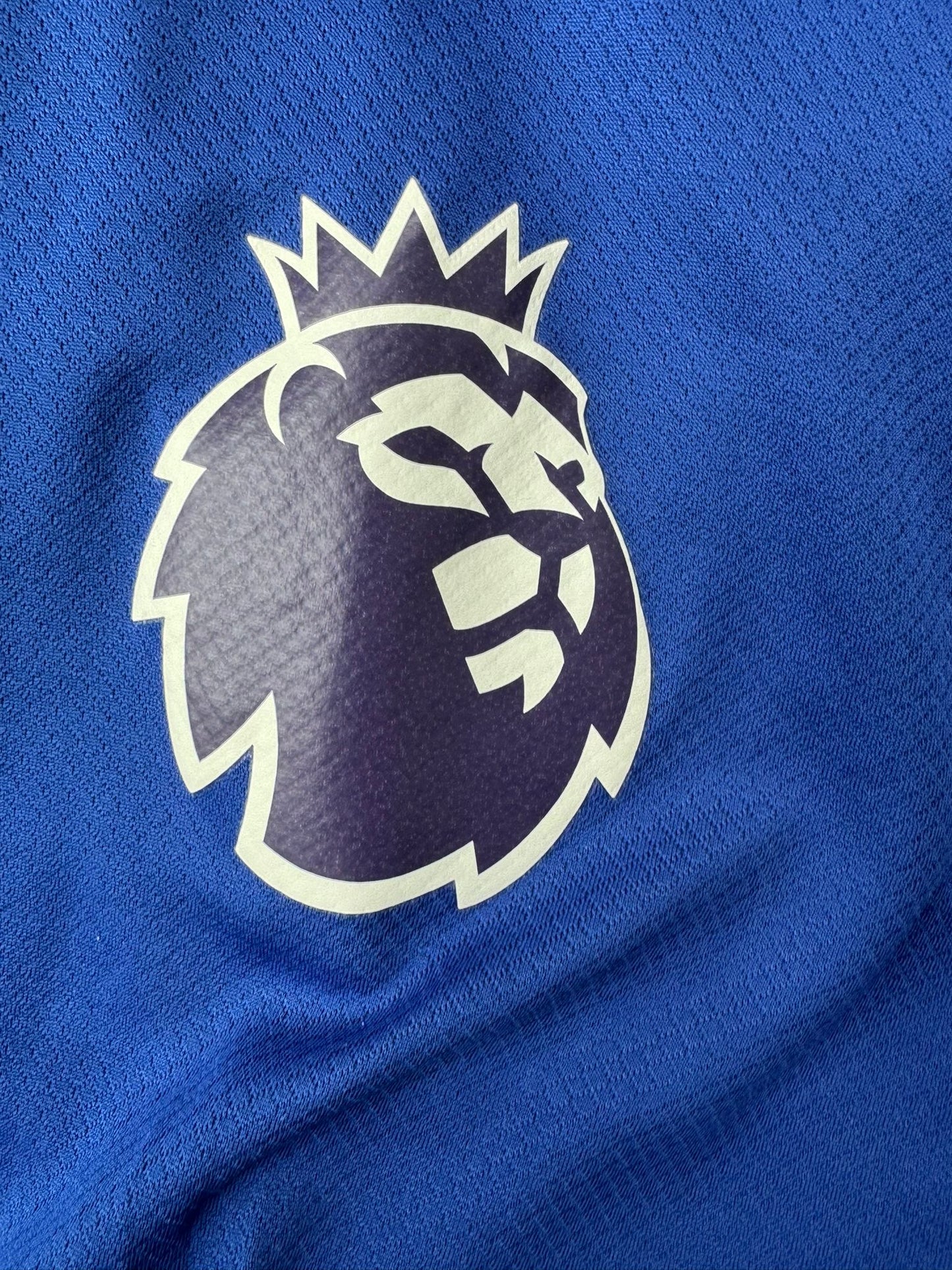 Chelsea 2023/24 Kotipaita - #20 Palmer - (L) - 10/10