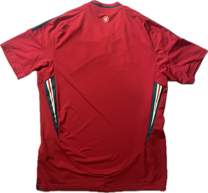 Wales 2024/25 Home Shirt - (M) - 10/10