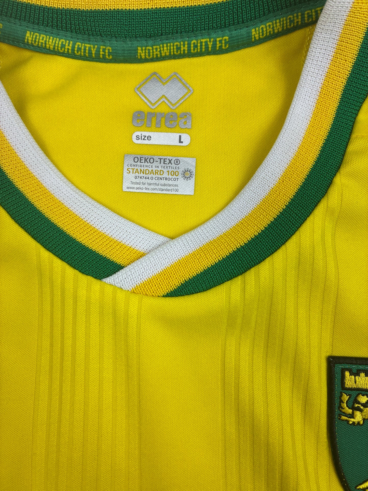 Norwich FC 2020/21 Kotipaita - #22 Pukki - (L) - 9/10