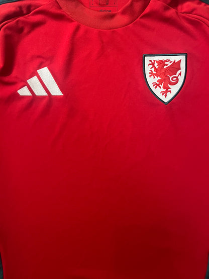 Wales 2024/25 Home Shirt - (M) - 10/10