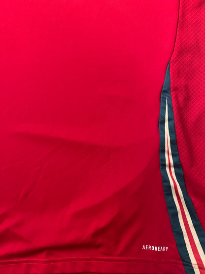 Wales 2024/25 Home Shirt - (M) - 10/10
