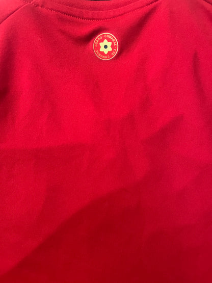 Wales 2024/25 Home Shirt - (M) - 10/10