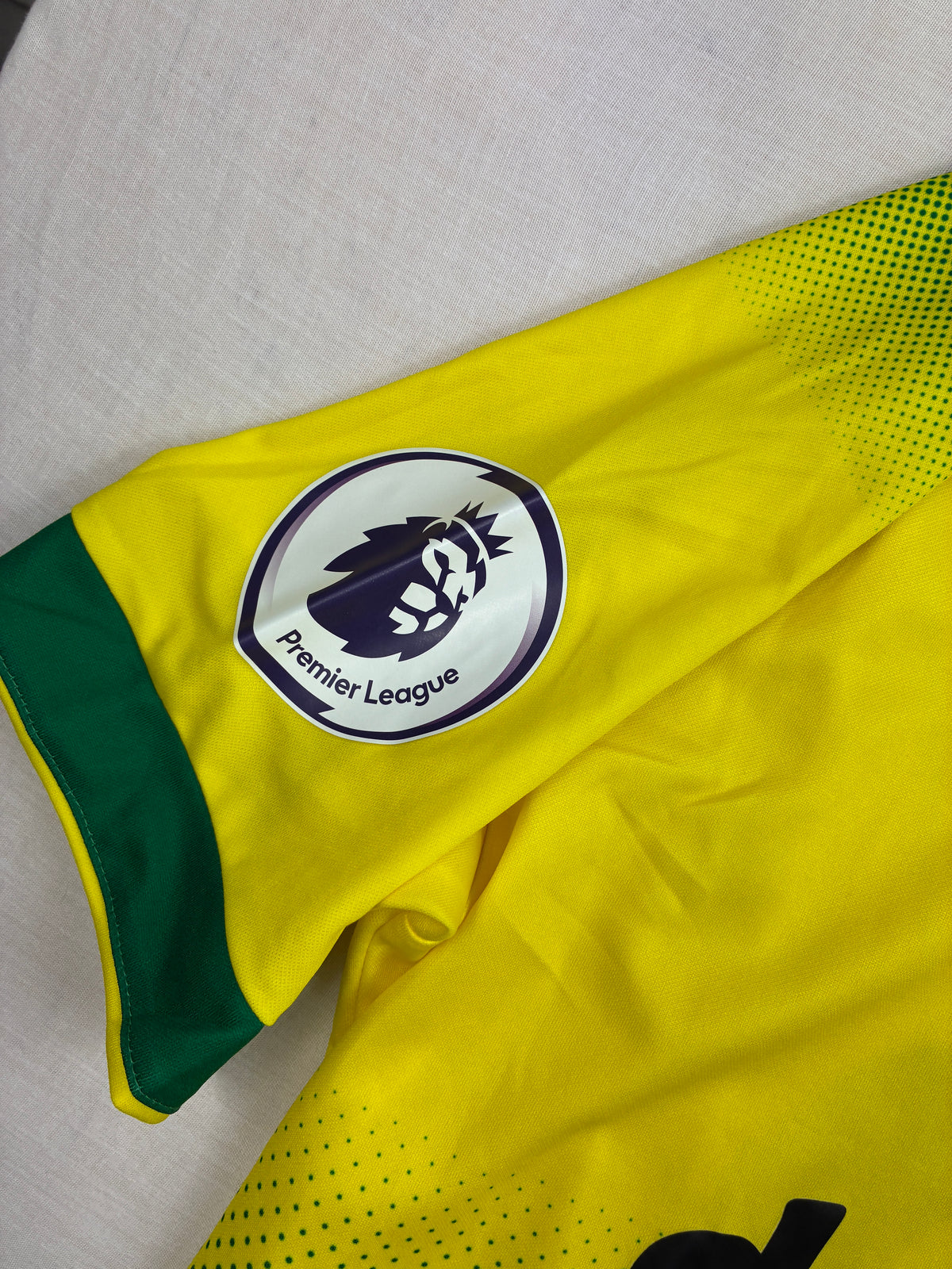 Norwich 2019/20 Kotipaita - #22 Pukki - (L) - 10/10