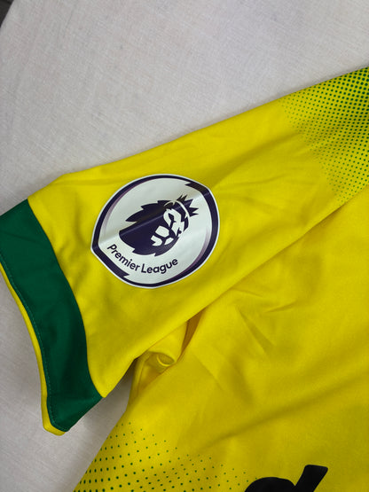 Norwich 2019/20 Kotipaita - #22 Pukki - (L) - 10/10