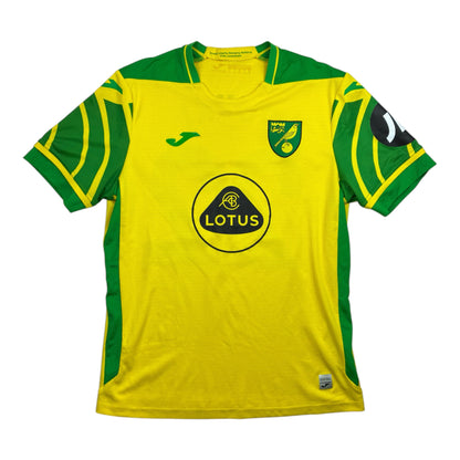 Norwich 2021/22 Kotipaita - #22 Pukki - (L) - 10/10