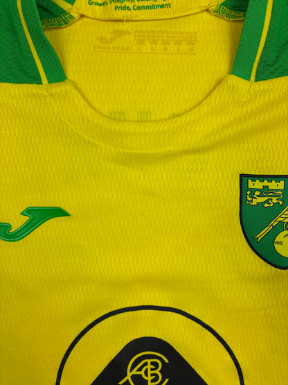 Norwich 2021/22 Kotipaita - #22 Pukki - (L) - 10/10