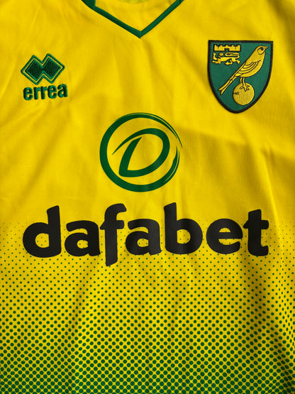 Norwich City 2019/20 Kotipaita - #22 Pukki - (L) - 10/10
