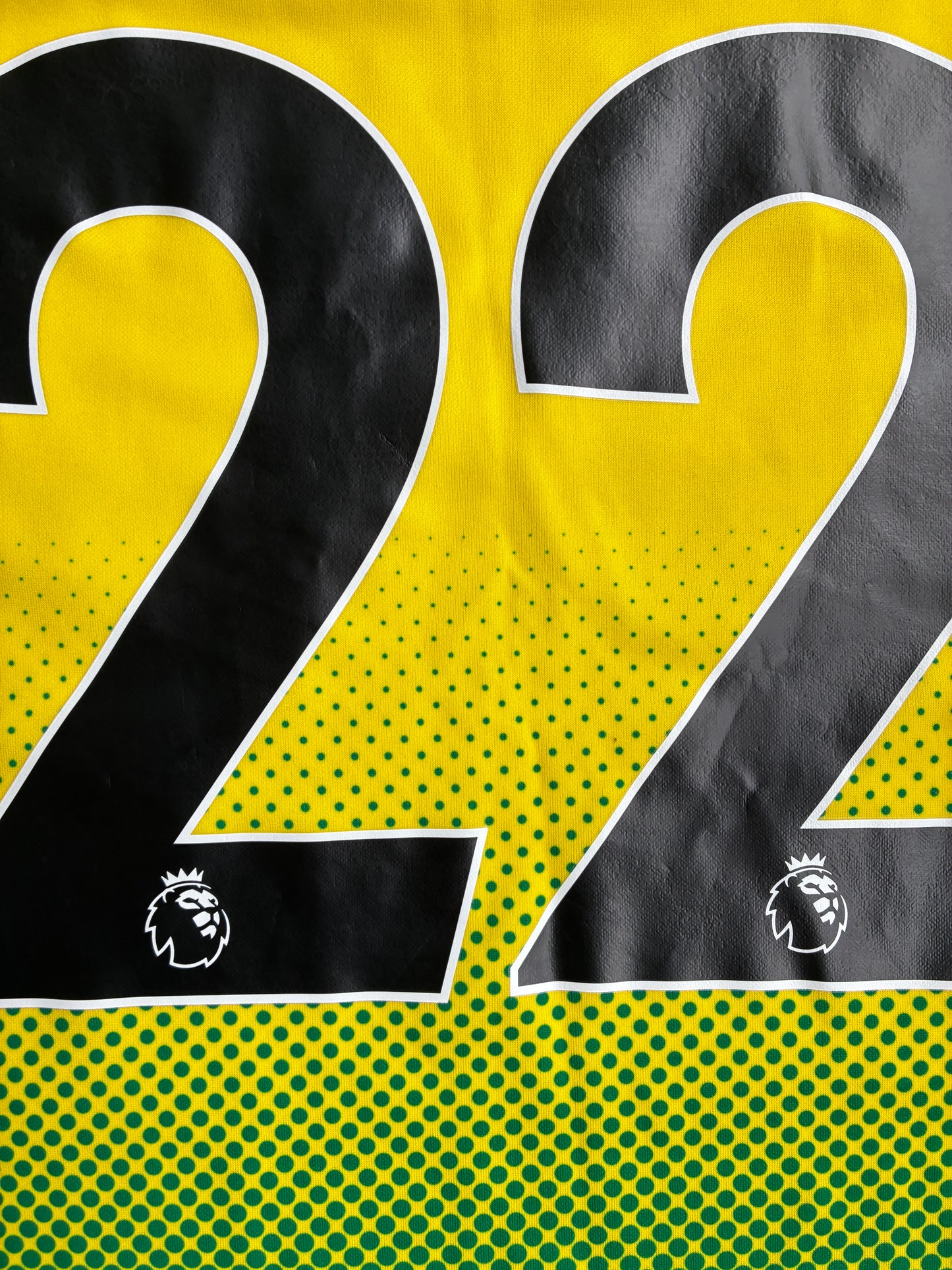 Norwich City 2019/20 Kotipaita - #22 Pukki - (L) - 10/10