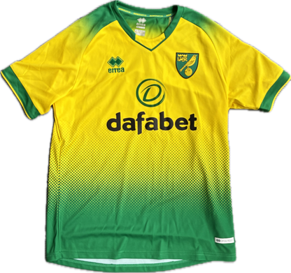 Norwich City 2019/20 Kotipaita - #22 Pukki - (L) - 10/10